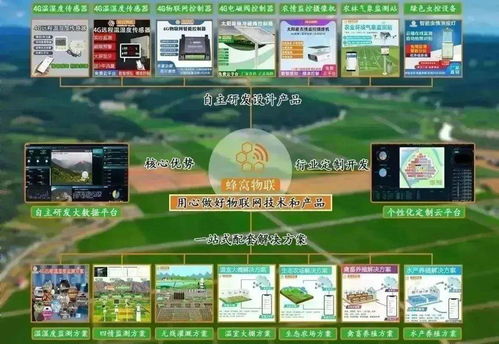 四情監(jiān)測系統(tǒng)助力三明沙縣智慧茶園科學管控，提產(chǎn)增效